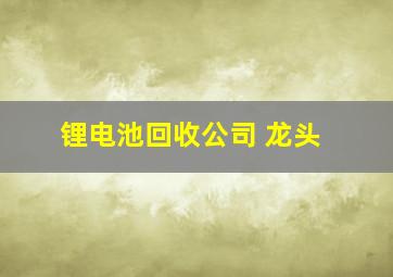 锂电池回收公司 龙头